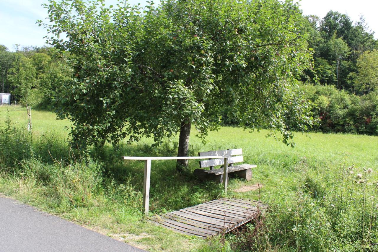 Ferienwohnung Forellenhof Oberschwarzach Eksteriør bilde